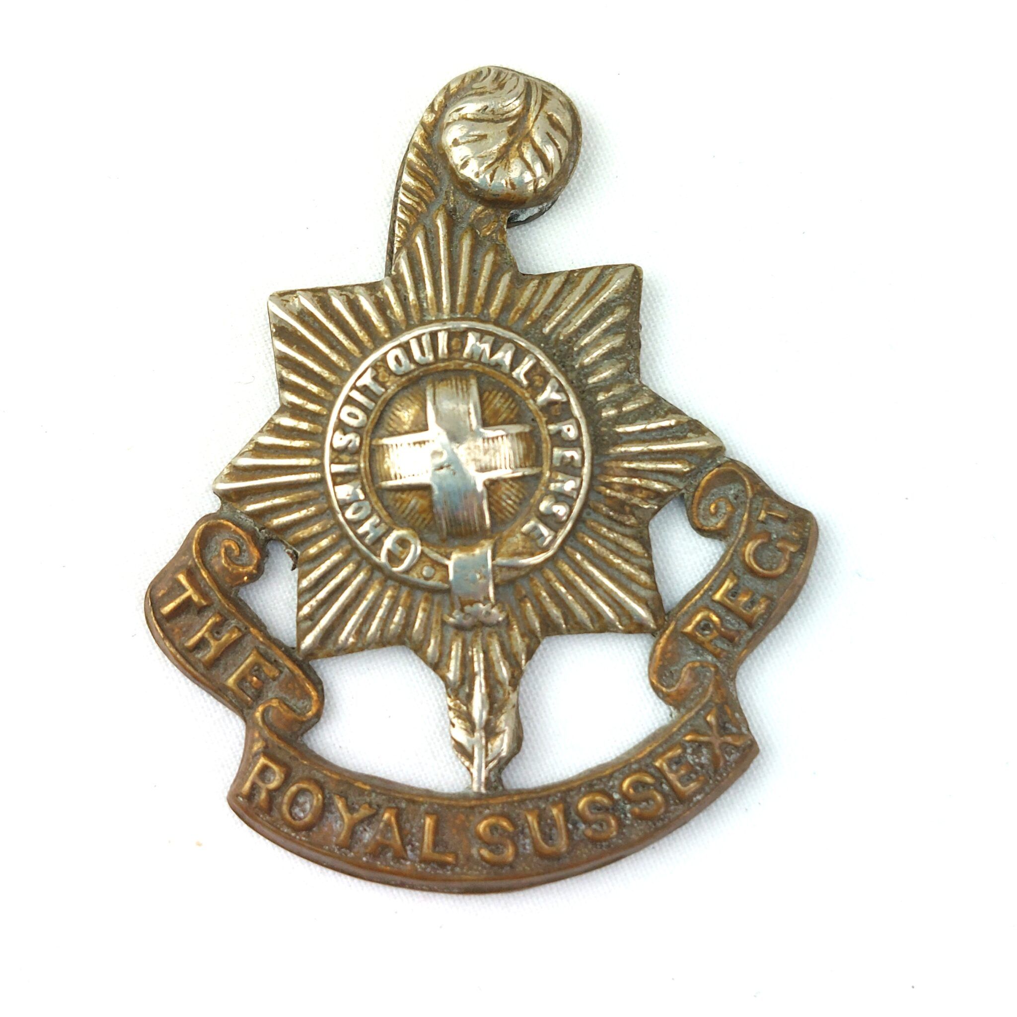 British, Original The Royal Sussex Reg Bi-Metal Cap Badge - Sally Antiques