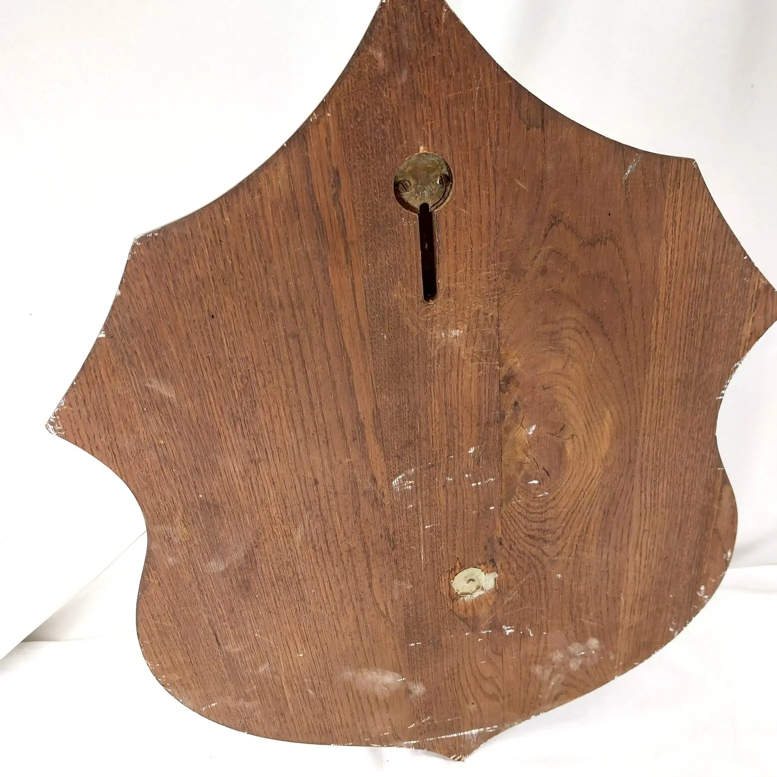 Mounted Wild Boar’s Head Trophy, Taxidermy on Oak Plaque (10)