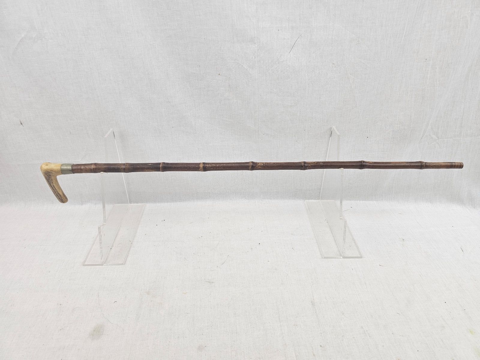 Wooden Walking Cane with Bone Grip (1)