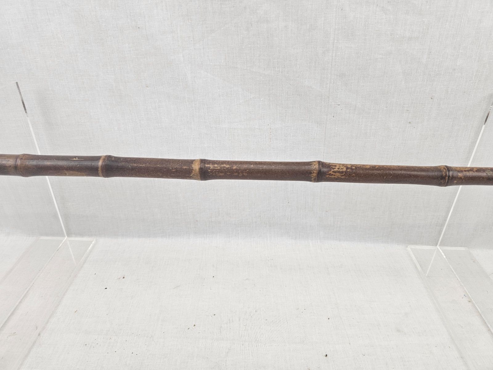 Wooden Walking Cane with Bone Grip (3)