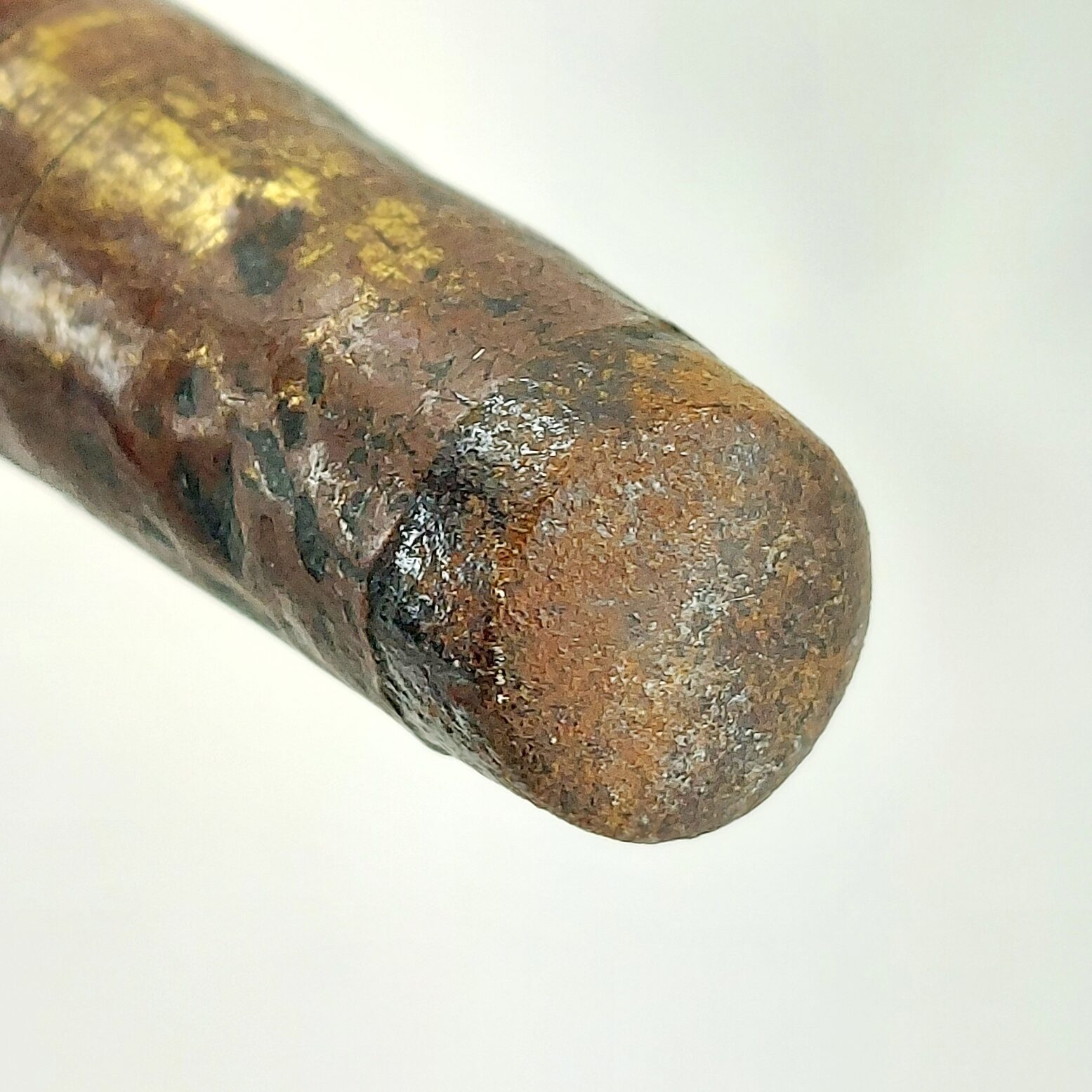 British, 1893, Walking Stick with Parrot Handle, Hallmarked Silver Collar (10)