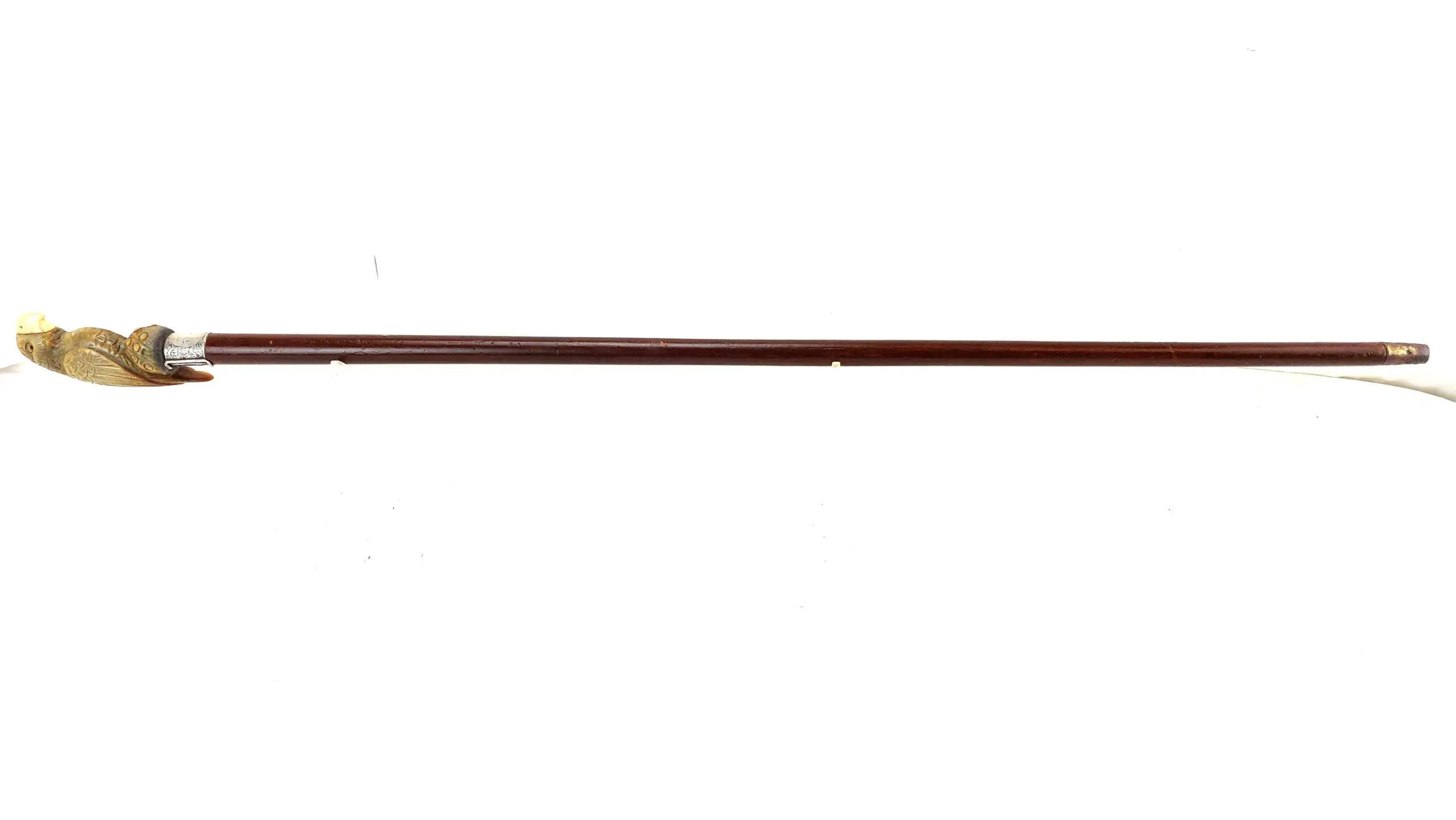 British, 1893, Walking Stick with Parrot Handle, Hallmarked Silver Collar (12)