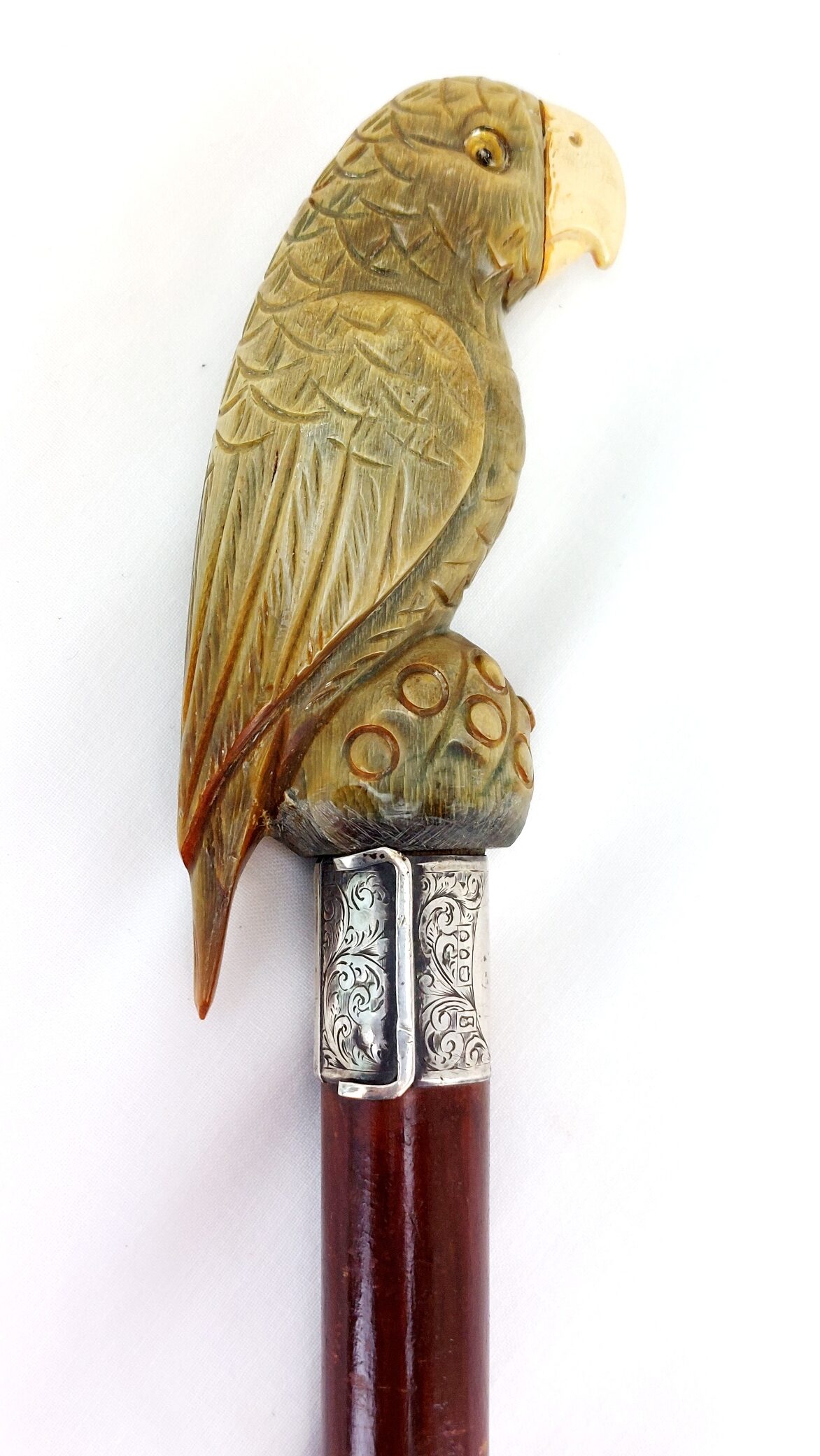 British, 1893, Walking Stick with Parrot Handle, Hallmarked Silver Collar (3)