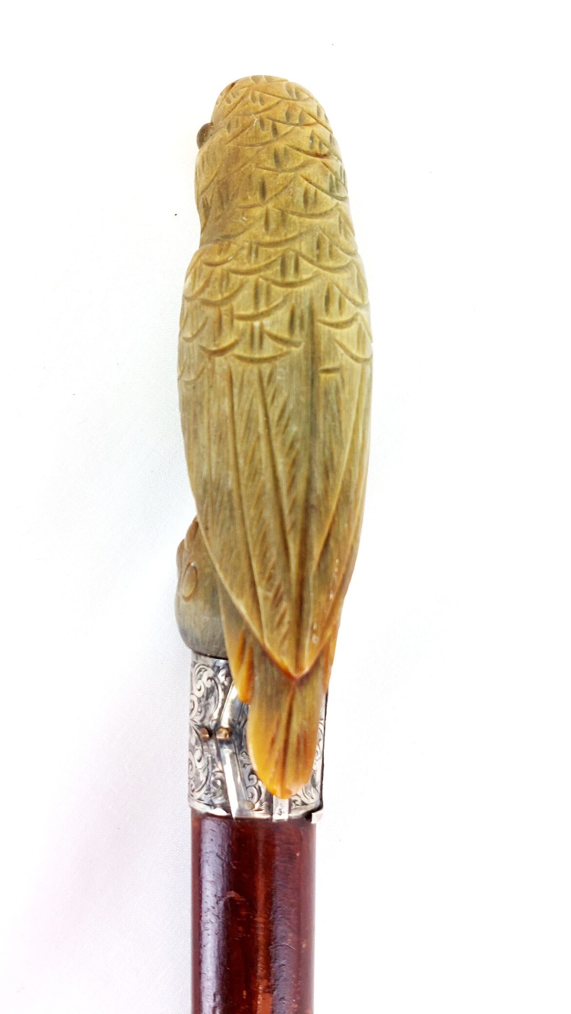 British, 1893, Walking Stick with Parrot Handle, Hallmarked Silver Collar (4)