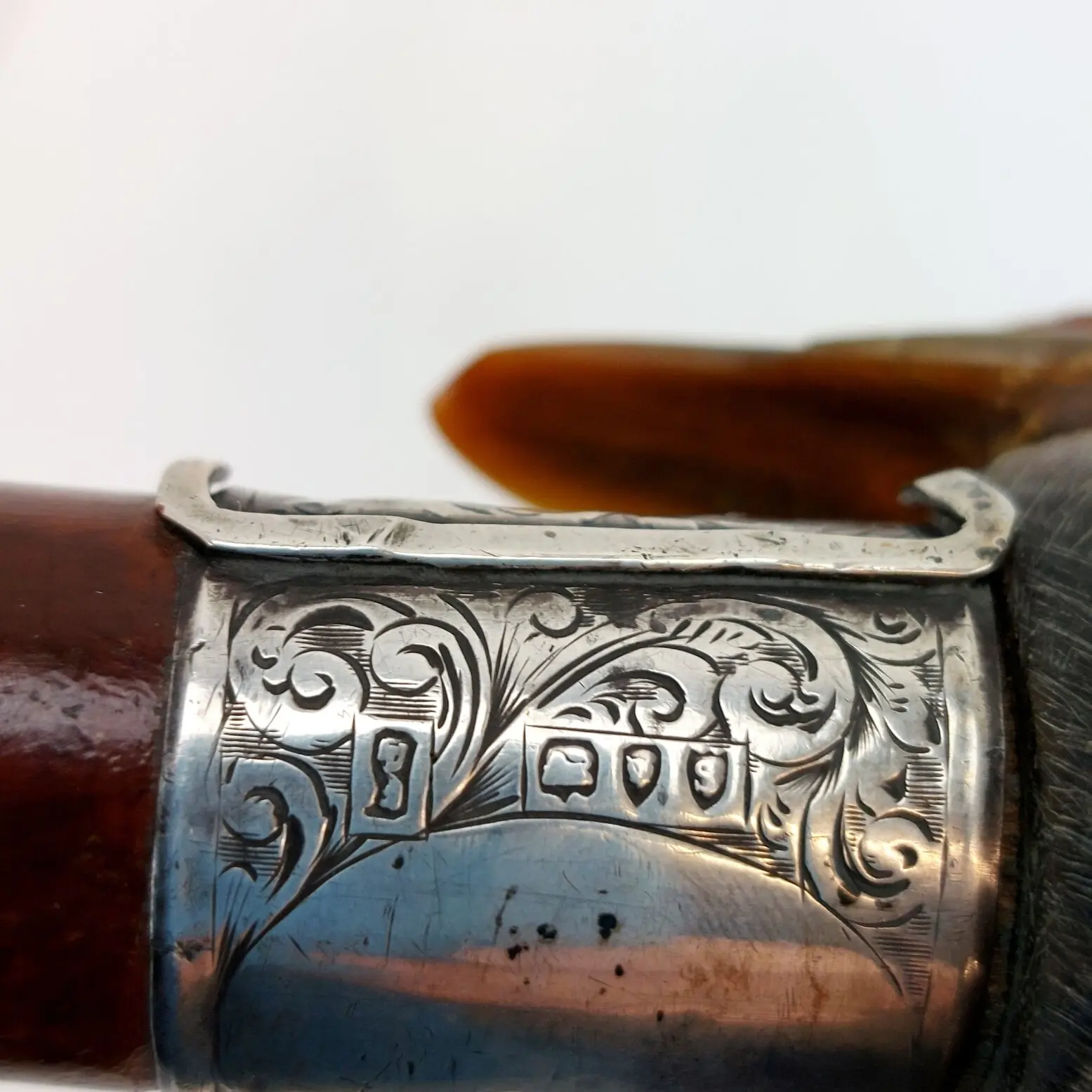 British, 1893, Walking Stick with Parrot Handle, Hallmarked Silver Collar (8)