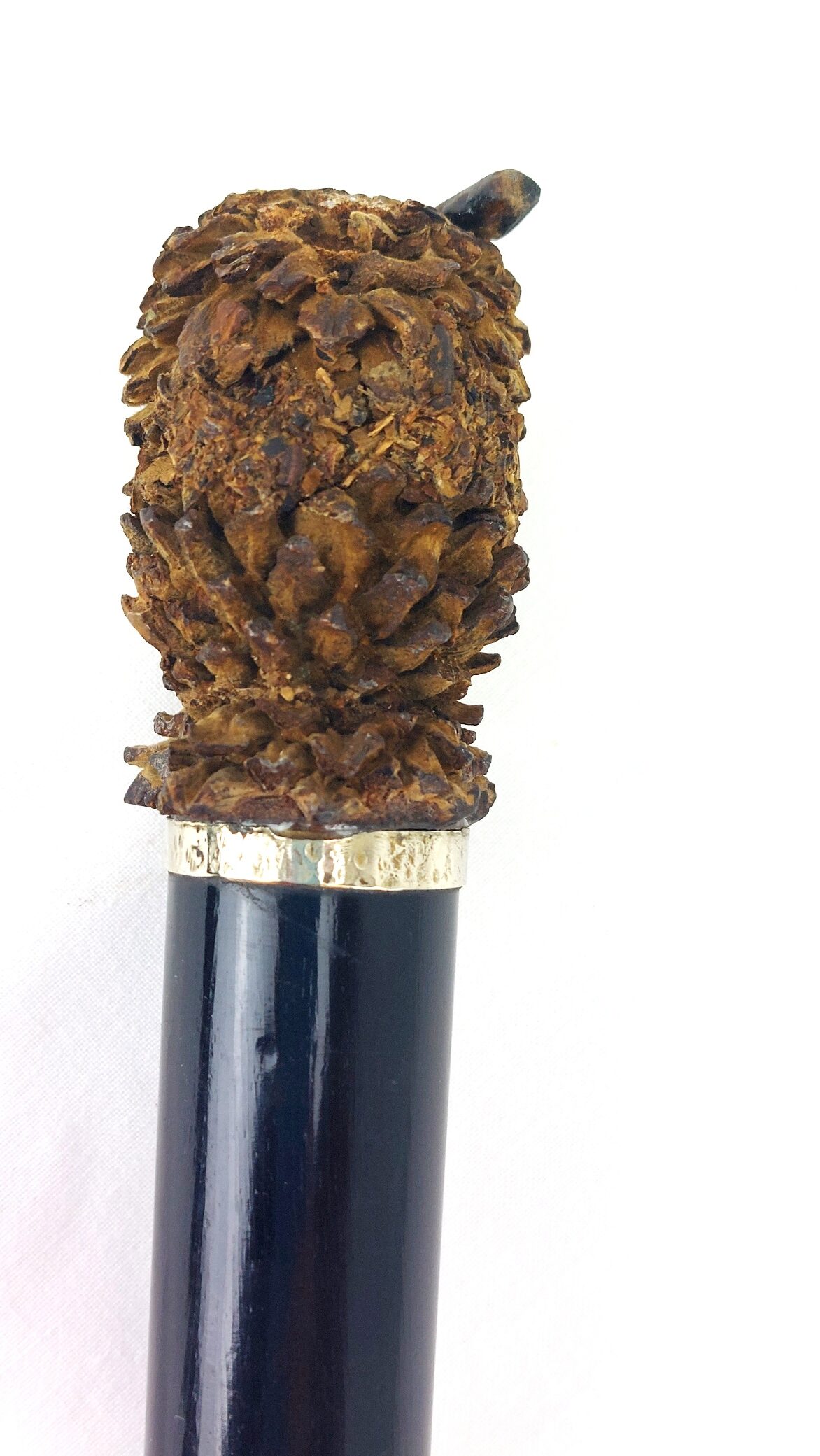 Continental, c.1900, Walking Stick with Owl Handle (3)