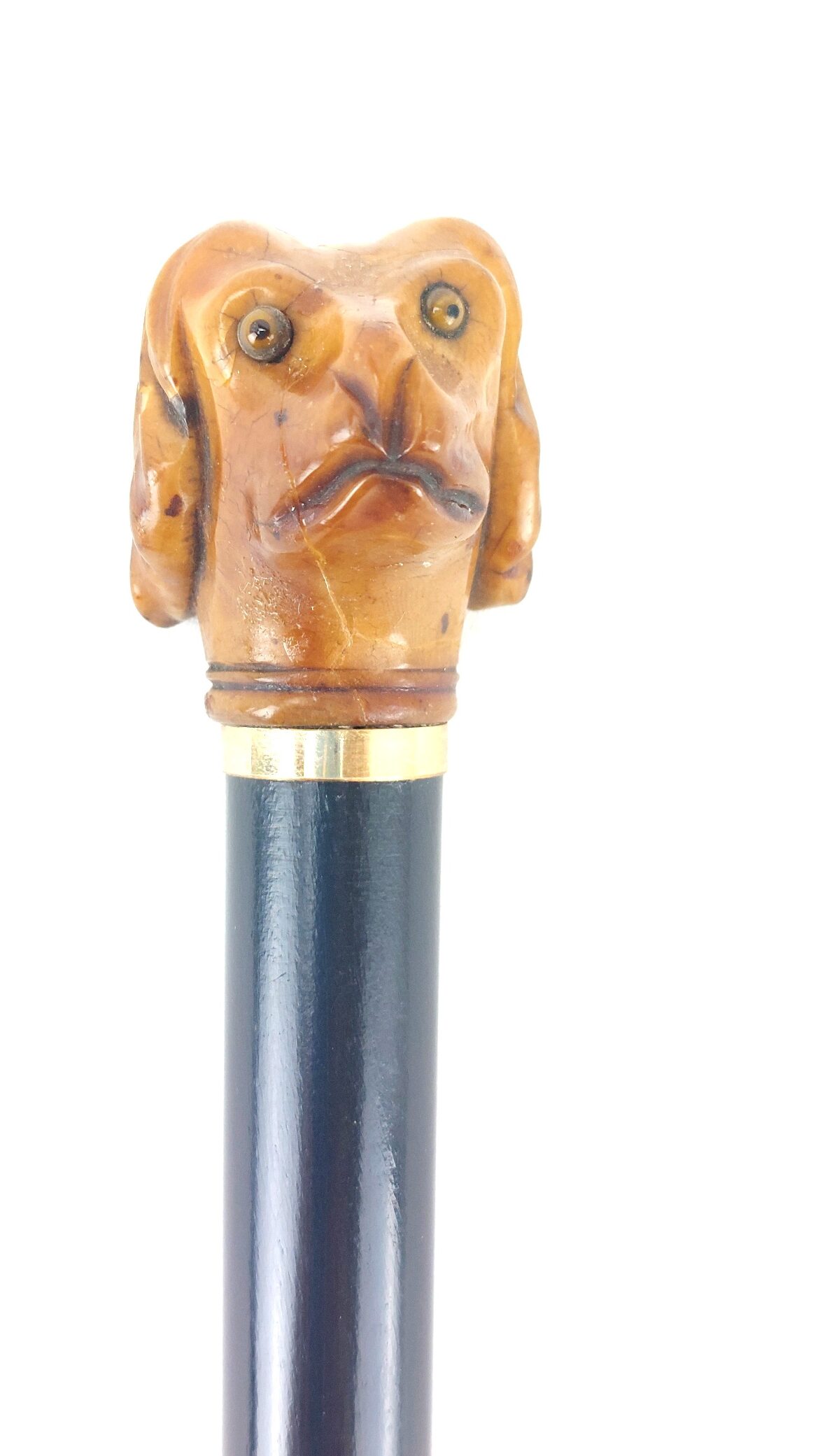 Late Victorian Antique Walking Stick with Carved Tagua Nut Spaniel Dog Handle (1)