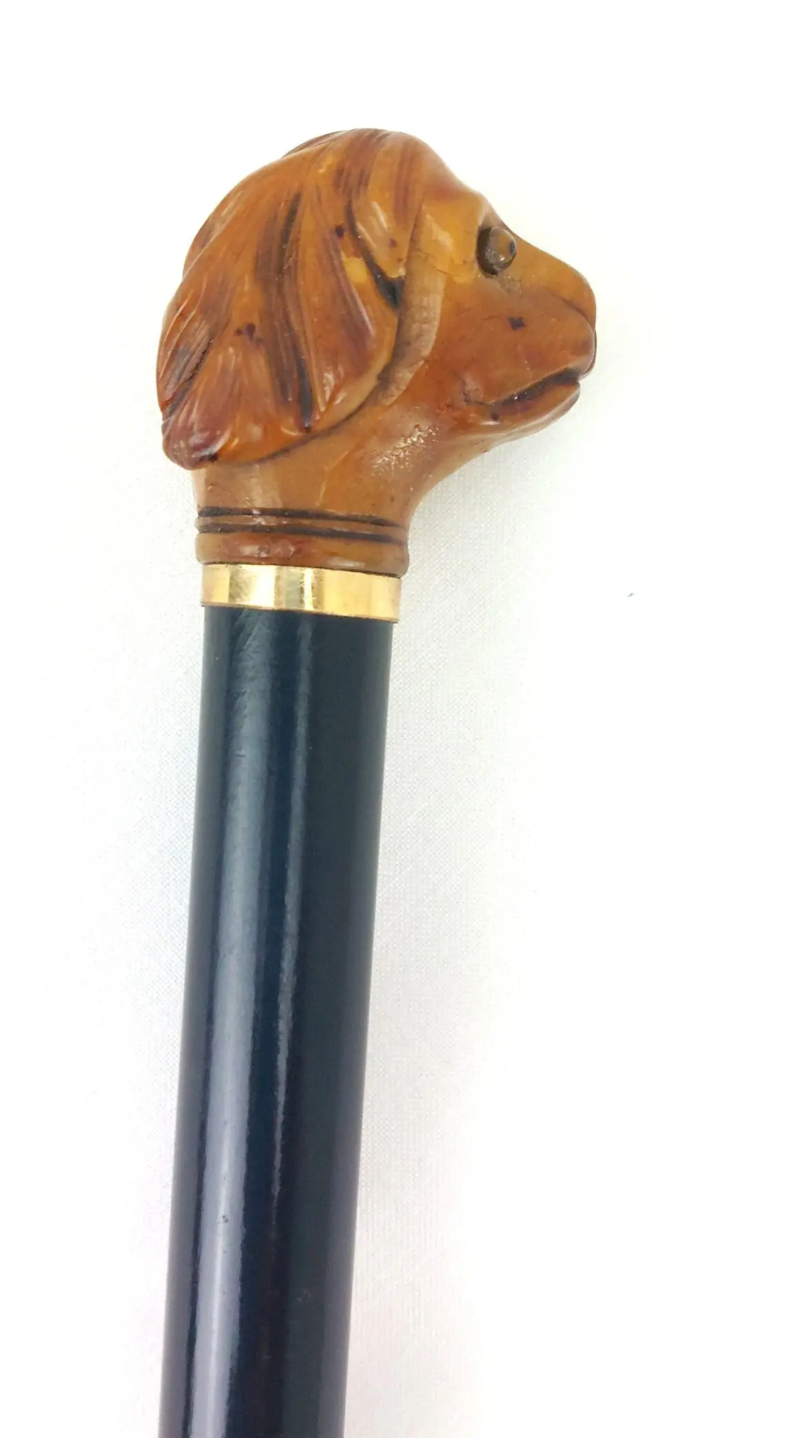 Late Victorian Antique Walking Stick with Carved Tagua Nut Spaniel Dog Handle (2)