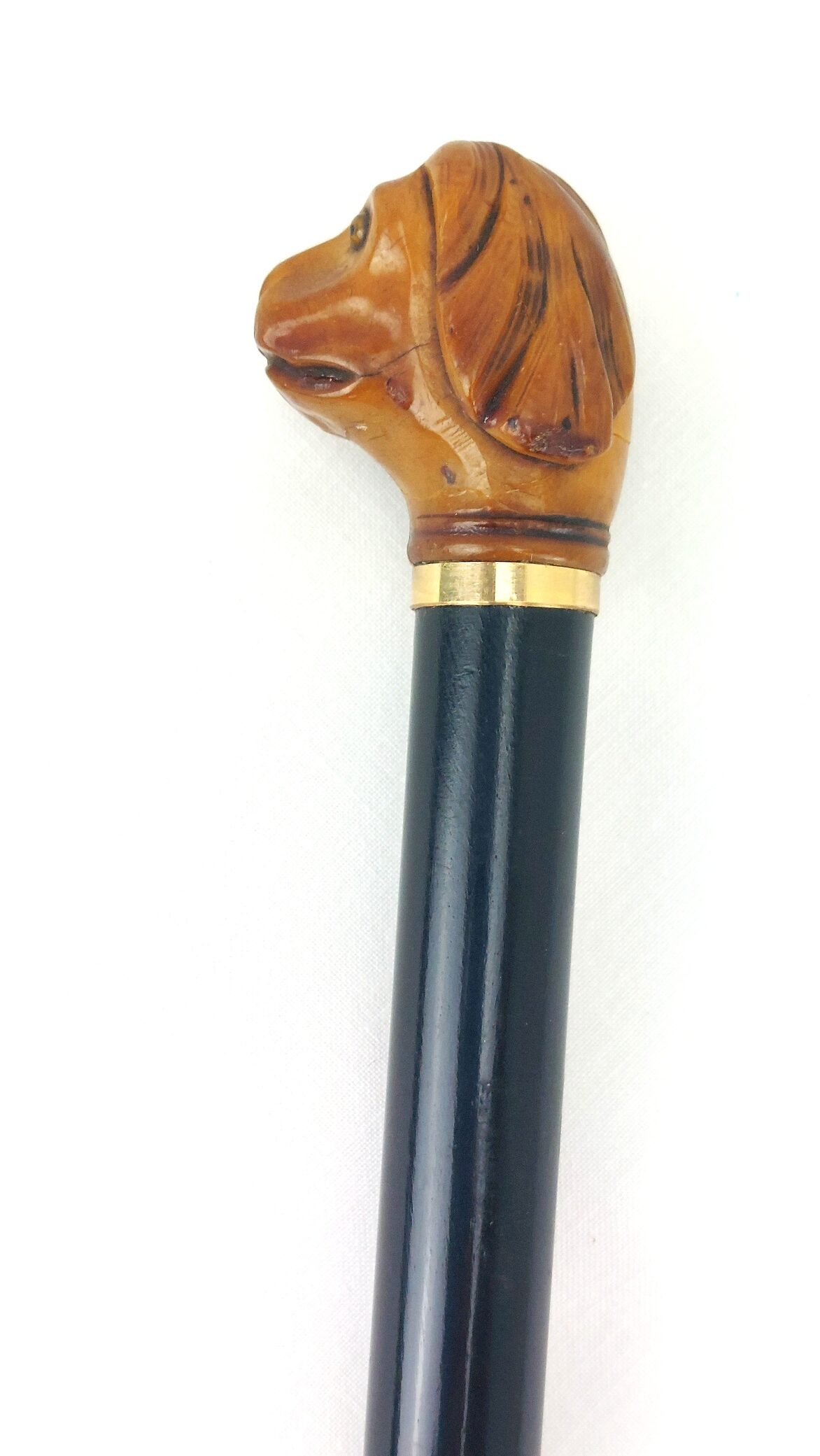 Late Victorian Antique Walking Stick with Carved Tagua Nut Spaniel Dog Handle (4)