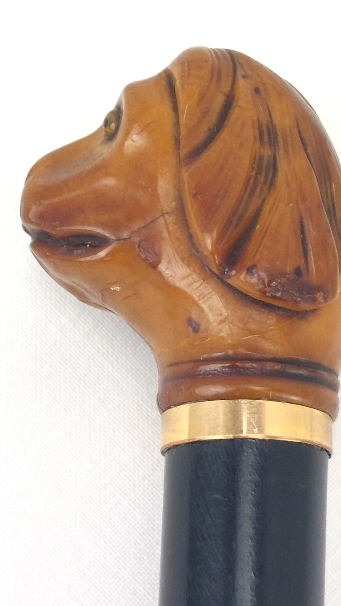 Late Victorian Antique Walking Stick with Carved Tagua Nut Spaniel Dog Handle (5)