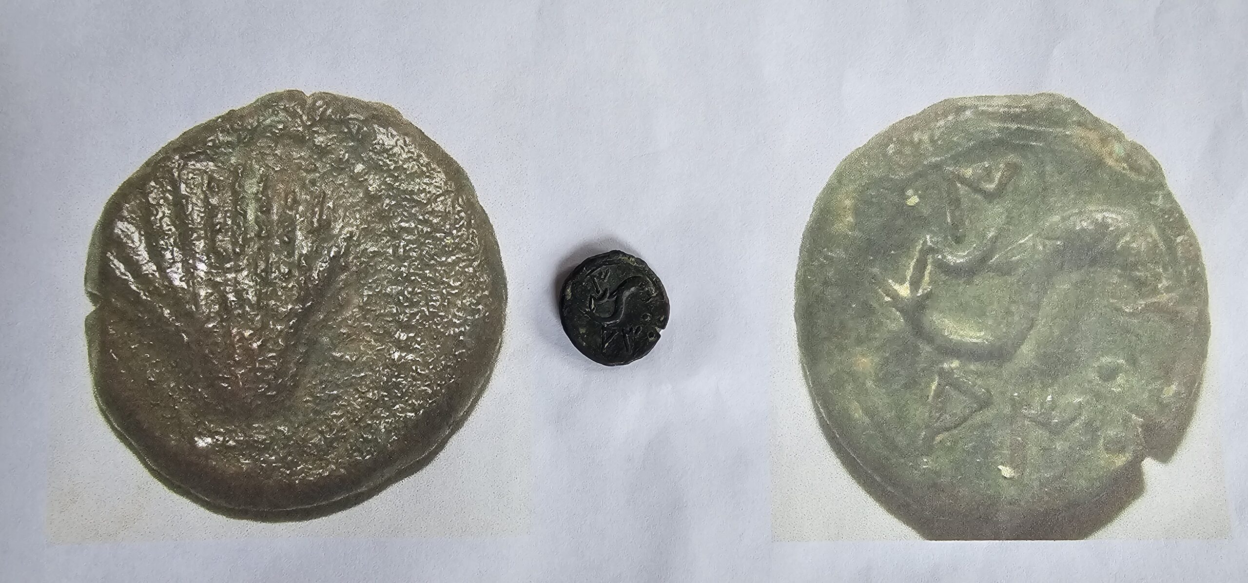 9027 (1)