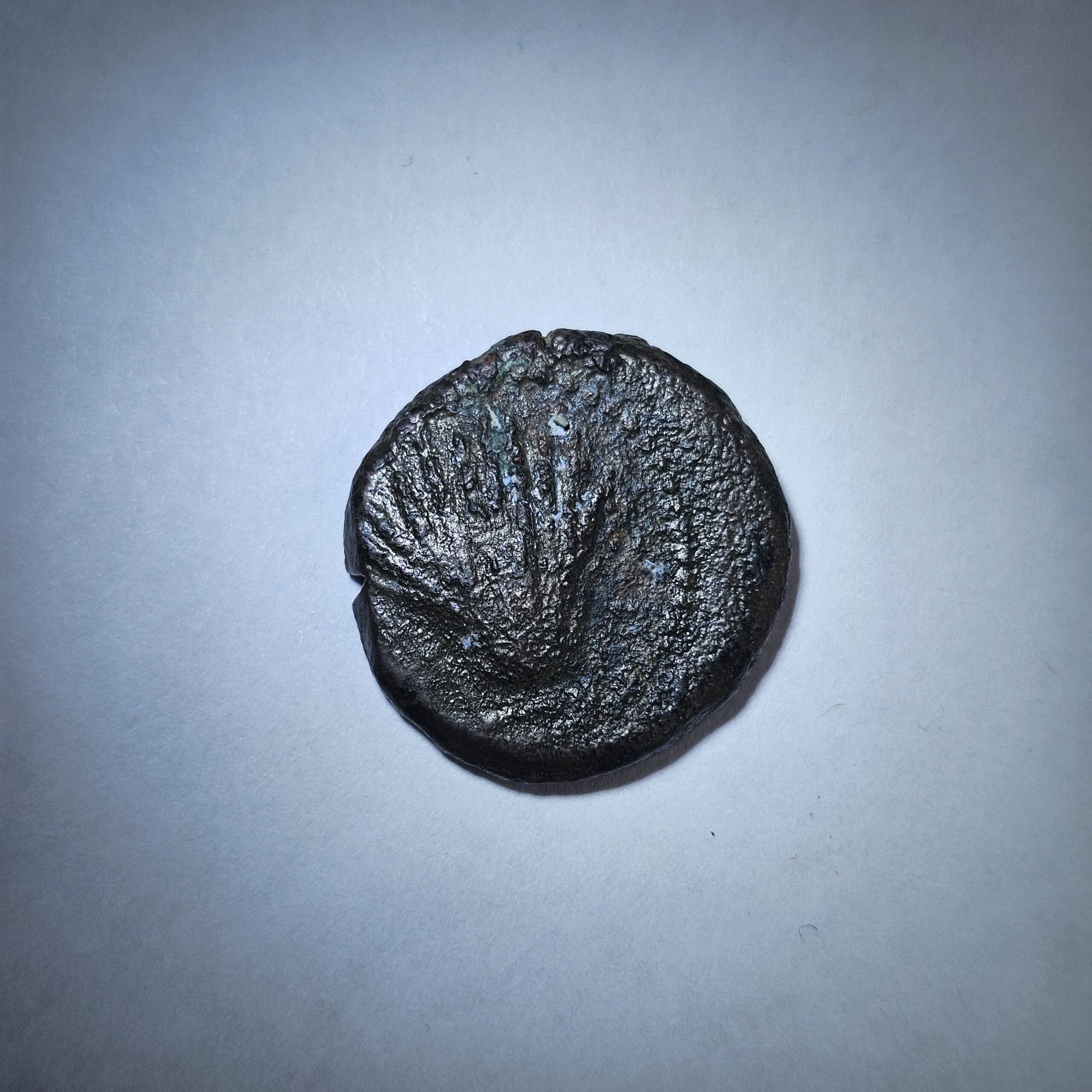 9027 (3)