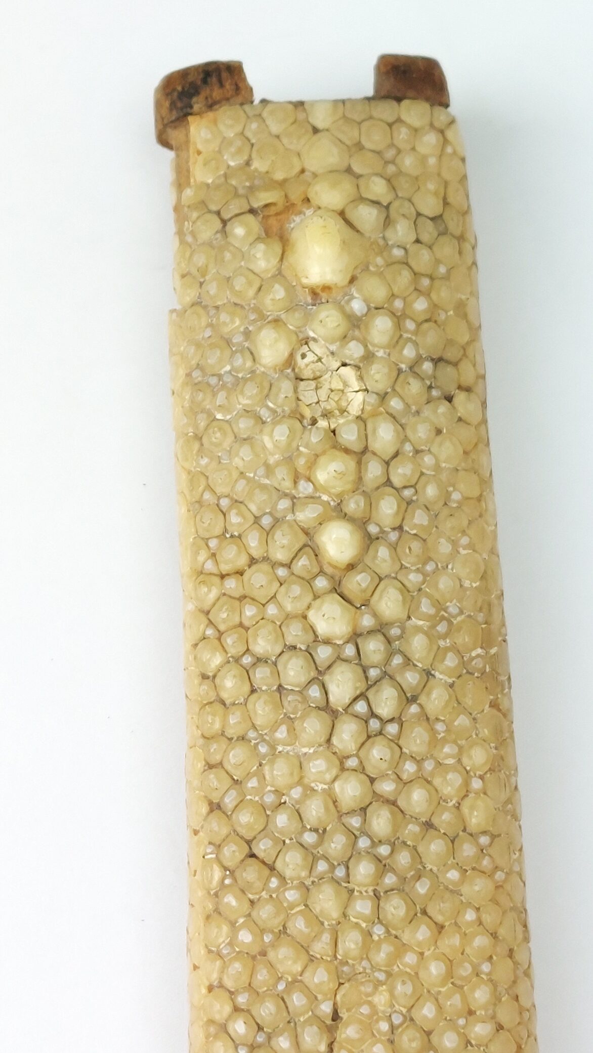 Japanese, Edo Period Wakizashi (Incomplete) with Decorated Koshirae, Stingray Skin Tsuka and Lacqu (17)