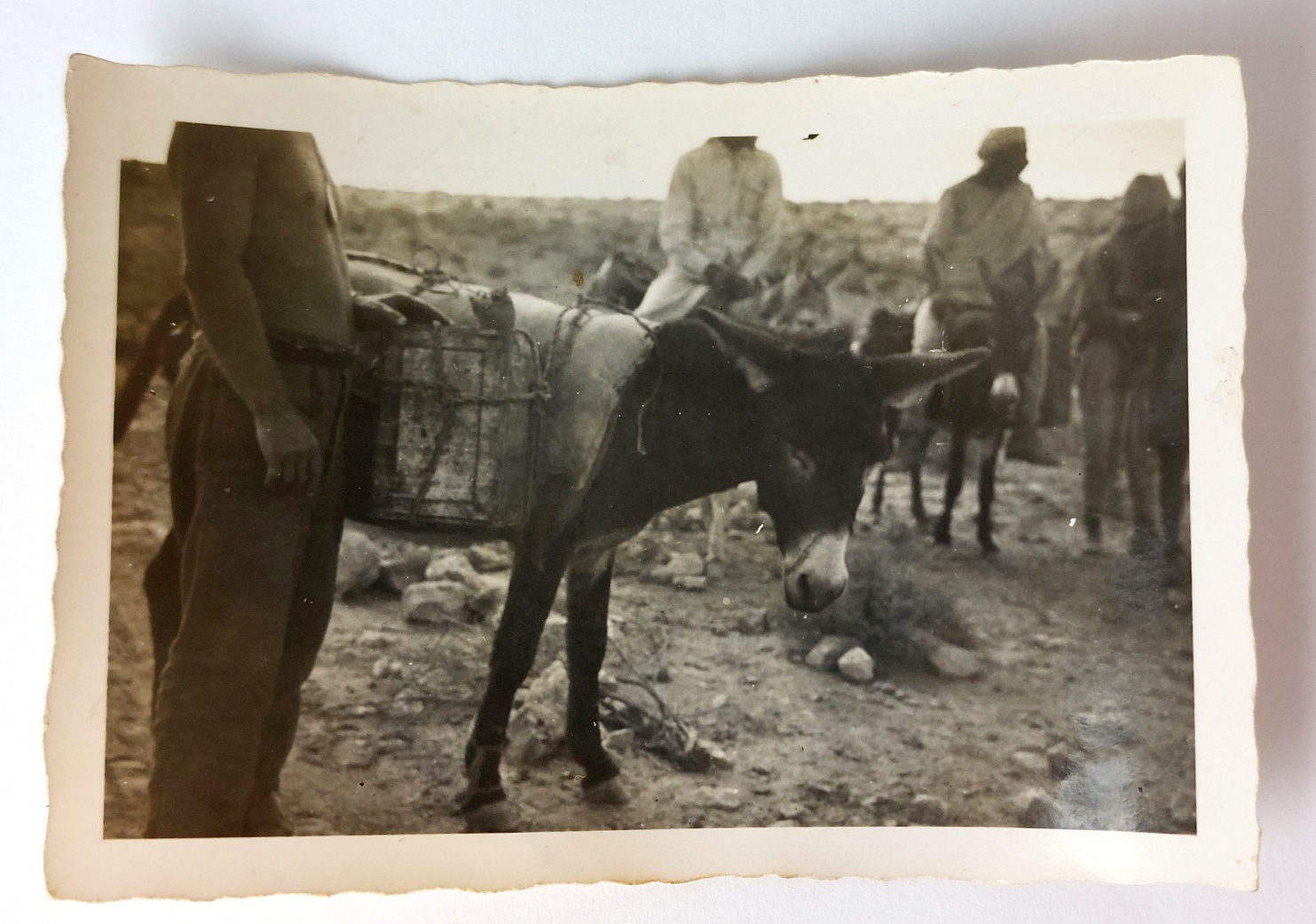 German, WW2, Deutsches Afrikakorps (DAK) Cigarette Case, with Original North Africa Photograph Group, c.1941–1942 - Image 10