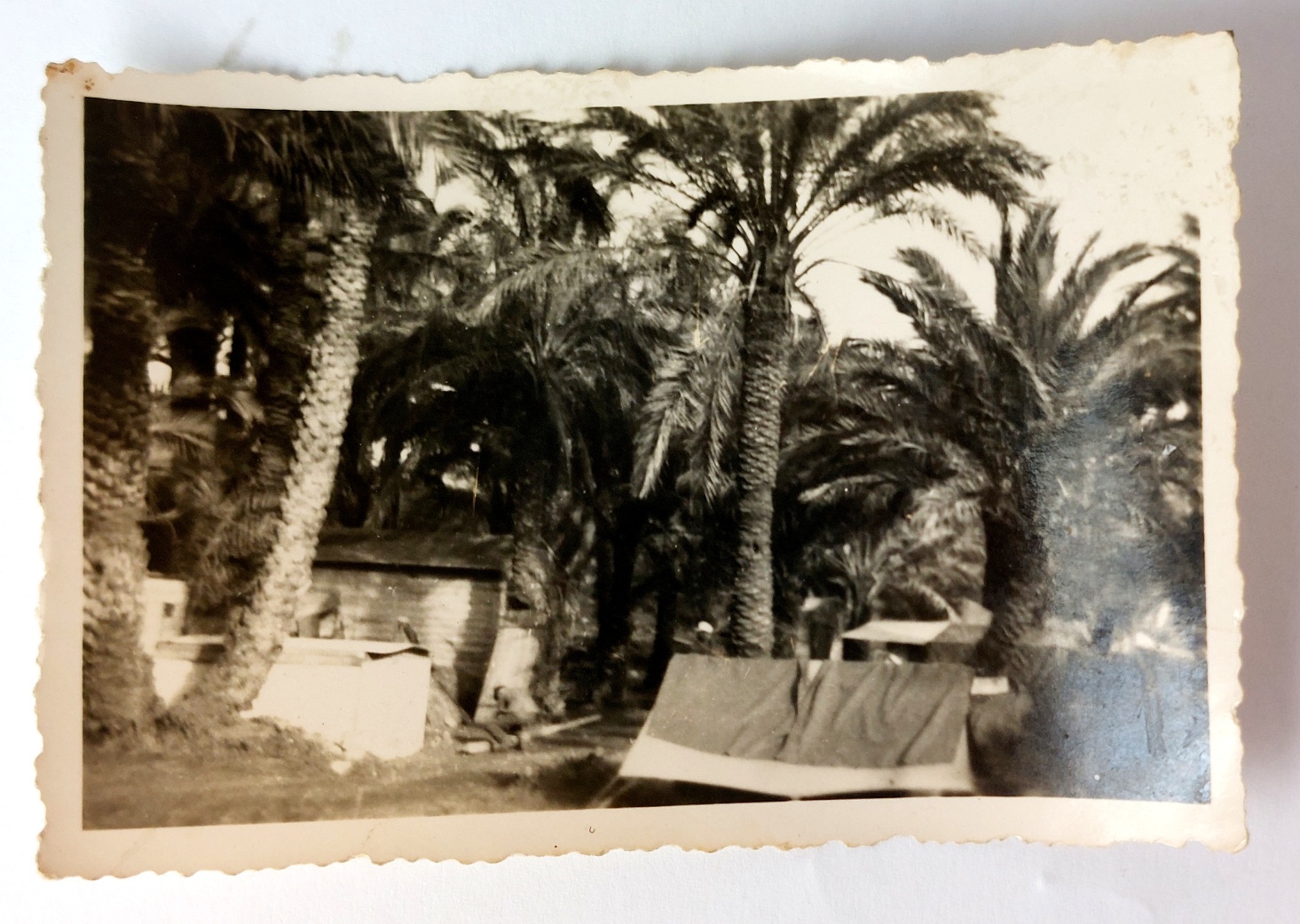 German, WW2, Deutsches Afrikakorps (DAK) Cigarette Case, with Original North Africa Photograph Group, c.1941–1942 - Image 12