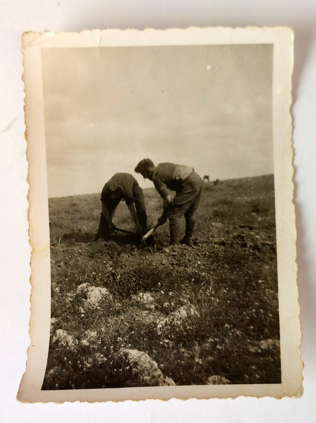 German, WW2, Deutsches Afrikakorps (DAK) Cigarette Case, with Original North Africa Photograph Group, c.1941–1942 - Image 23