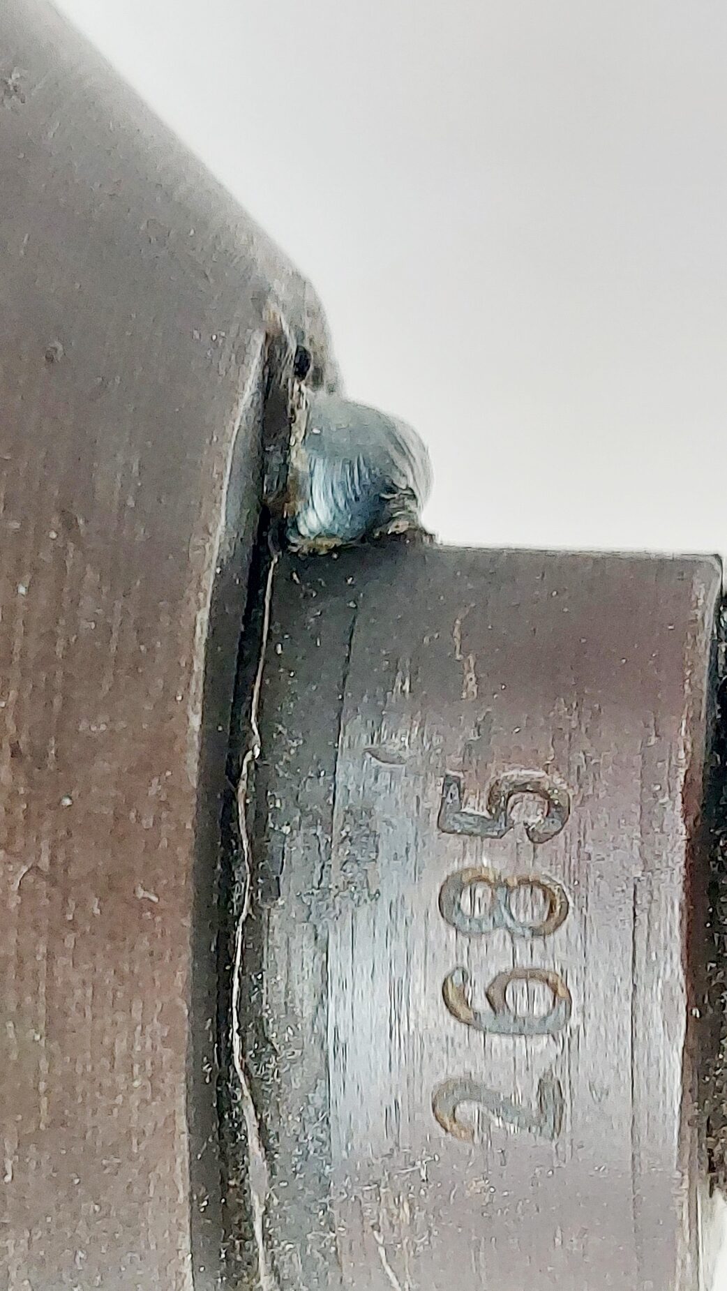 British, WW2-1944, No.4 Mk I Lee-Enfield Rifle Grenade Launcher, ROF Maltby, Serial No. BU12685, Original No.3 Mk I Cup Discharger, Wire-Reinforced Fore-end, Cocking & Dry-Firing, UK Deactivated - Image 31
