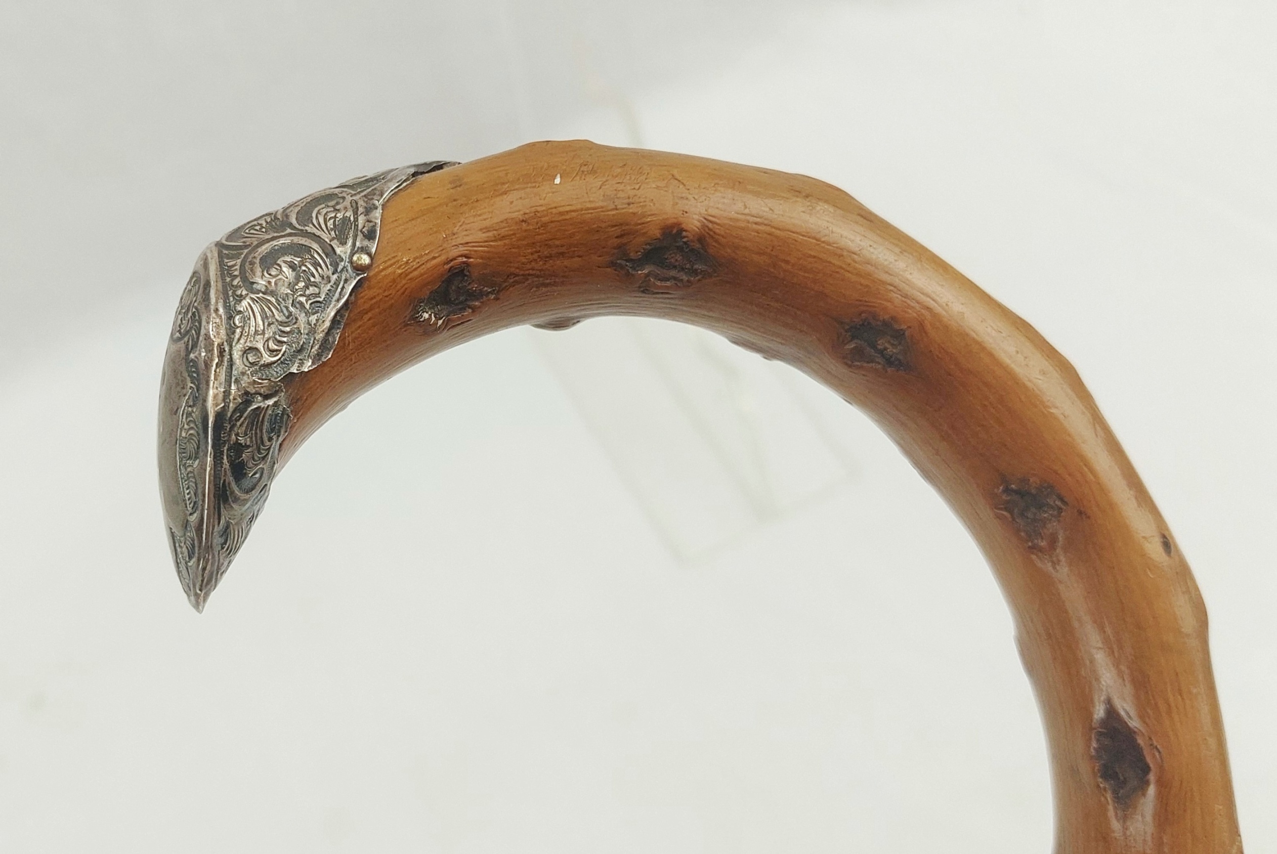 Birmingham 1902 Sterling Silver Tipped Knotted Wood Walking Cane - Image 9