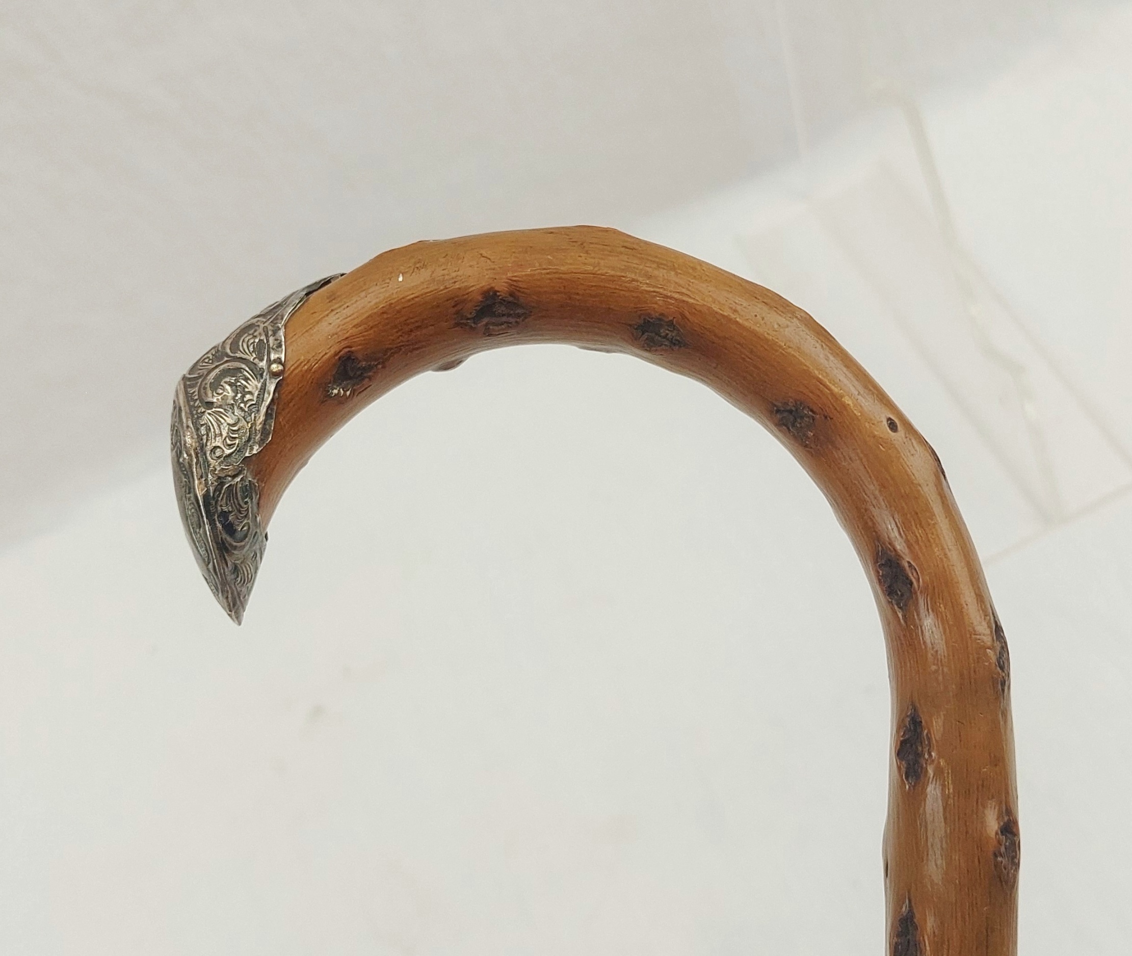 Birmingham 1902 Sterling Silver Tipped Knotted Wood Walking Cane - Image 8
