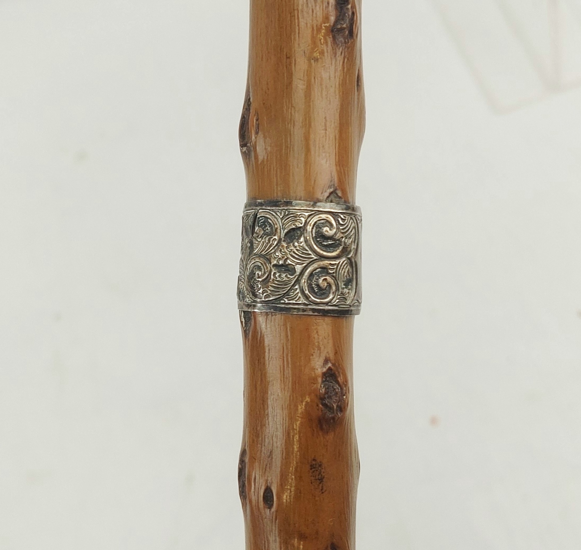 Birmingham 1902 Sterling Silver Tipped Knotted Wood Walking Cane - Image 7