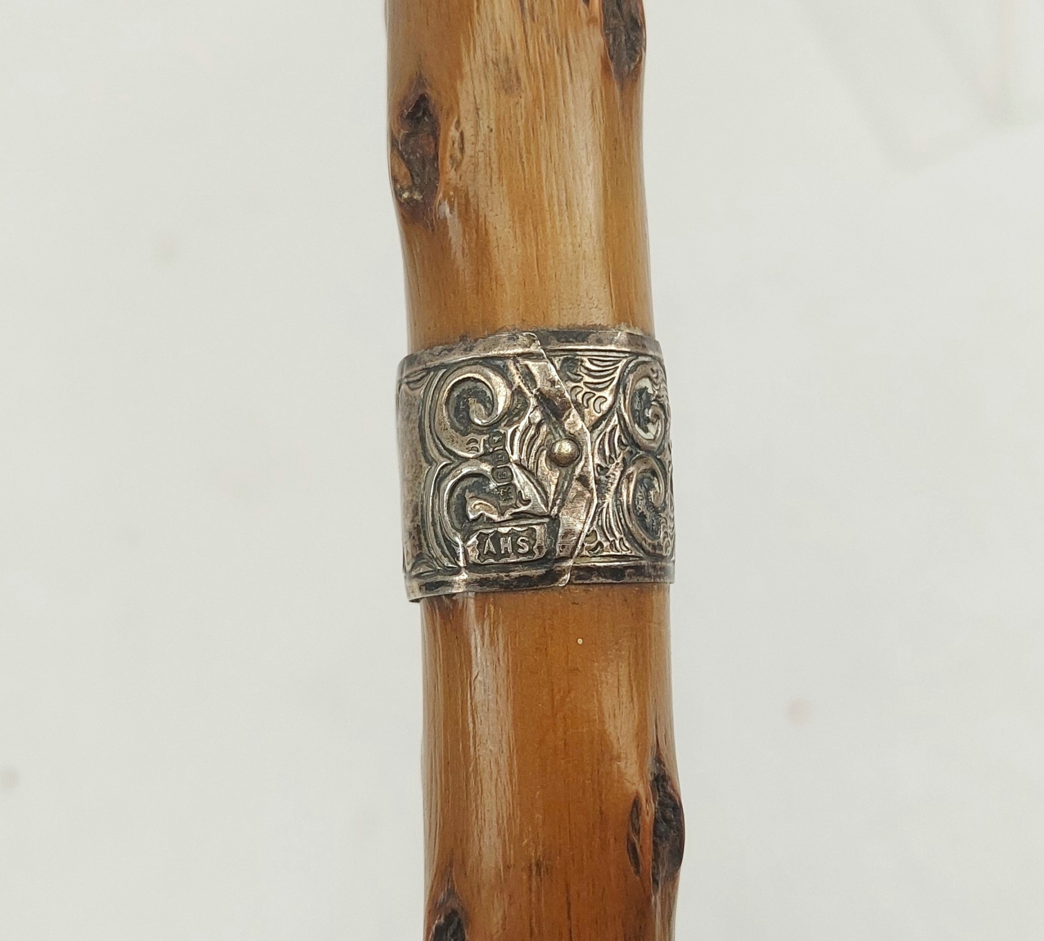 Birmingham 1902 Sterling Silver Tipped Knotted Wood Walking Cane - Image 6